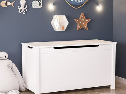 Toy Box Storage With Safety Hinged Lid