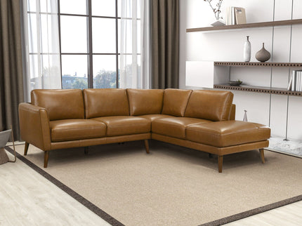 Benson - Sectional Sofa With Chaise