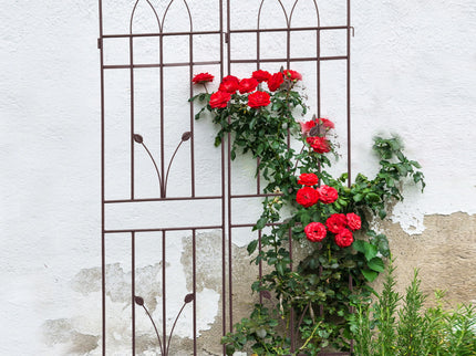 Metal Garden Trellis Rustproof For Climbing Plants Outdoor Flower Support