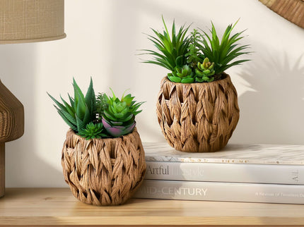 Artificial Succulent, Table Decor (Set of 2) - Green