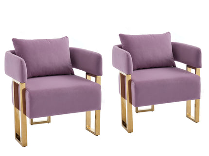 Modern Decorative Chair Teddy Fleece Upholstered And Metal Foot