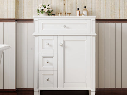 Bathroom Vanity With Top Sink, Storage Cabinet With 2 Drawers And Tip-Out Drawer