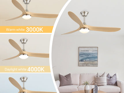 Smart Ceiling Fan With Lights, 3 Blades, Reversible Quiet DC Motor For Indoor