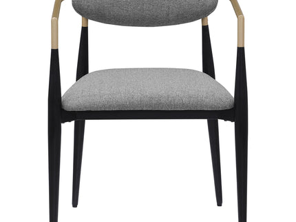 Mistra - Dining Arm Chair (Set of 2)