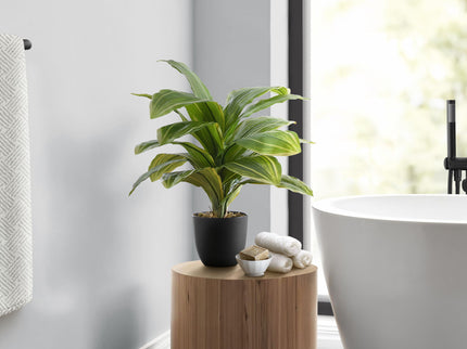 17" Tall, Artificial Plant, Dracaena, Indoor, Faux, Fake, Table, Greenery, Potted, Real Touch, Decorative - Green / Black