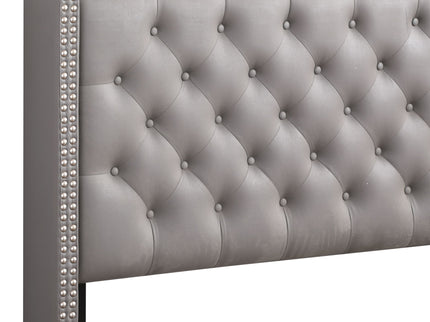 Nailhead Bed Transitional Vibrant