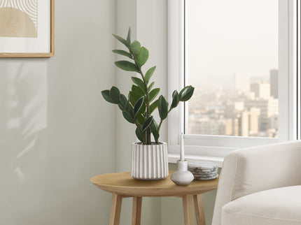 20" Tall, Artificial Plant, Zz, Indoor, Faux, Fake, Table, Greenery, Potted, Real Touch, Decorative - Green / Gray