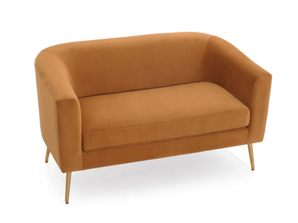 Modern Elegant Design Style Loveseat