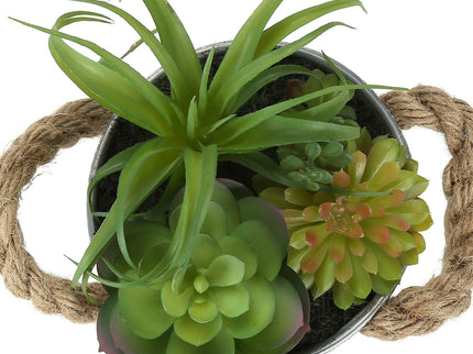 Artificial Succulent, Table Decor (Set of 2) - Green / White
