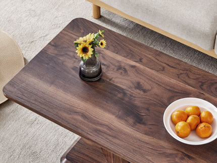 Modern, Minimalist Rectangular Coffee Table