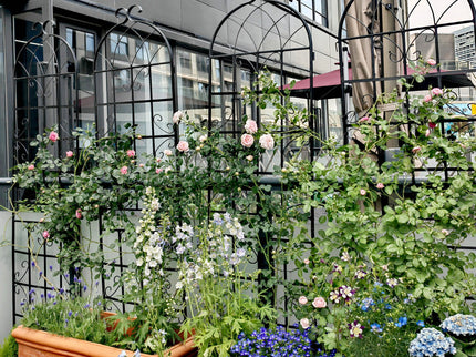Metal Garden Rustproof Trellis For Climbing Plants Outdoor Flower Support