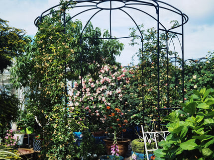 Metal Garden Arch Iron Garden Arbors Gazebo Dia High Birdcage Shape Pergola Pavilion For Wedding Ceremony