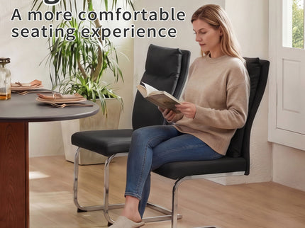 Modern Dining Chair SetWith Soft Cushion Backrest (2 Pieces)