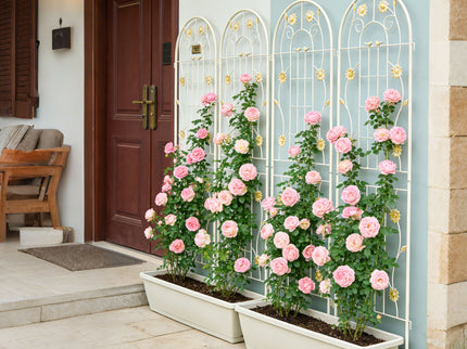Metal Garden Trellis Rustproof Trellis For Climbing Plant Outdoor Flower Support