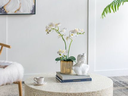 Unique Capiz Coffee Table & Pedestal Base