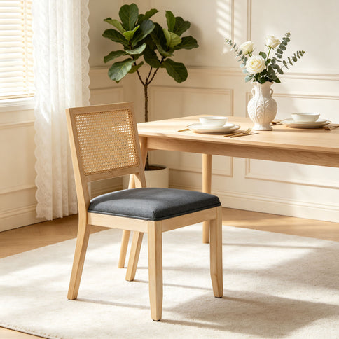 Kitchen & Dining Room Chairs (Set of 2)
