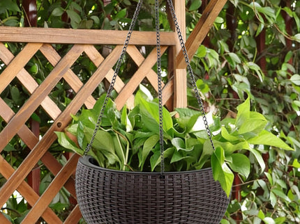 Self Watering Hanging Planter