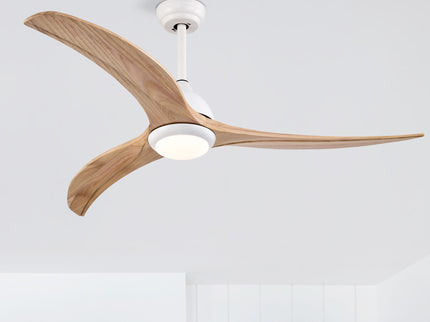 Indoor Outdoor Ceiling Fan With Light With Remote Control, Noiseless Reversible Motor, 6 Speed, 3 Color