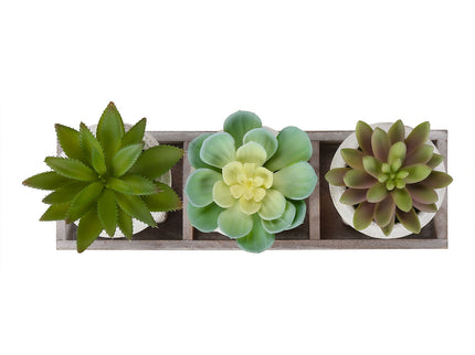 Artificial Succulent, Table Decor (Set of 3) - Green / Beige
