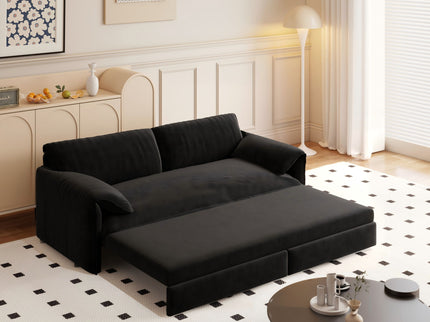 Queen Pull Out Sofa Bed With Side Storage
