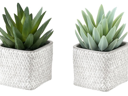 Artificial Succulent, Table Decor (Set of 2) - Green / Gray