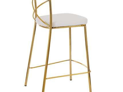 Modern Charlotte - Contemporary Fixed Height Counter Stool (Set of 2)