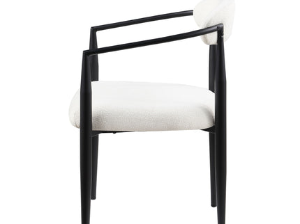 Dining Chairs (Set of 2), Mid-Century Modern Dining Chairs, Kitchen Dining Room Chairs, Round Boucle Backrest Sherpa Dining Chair With Metal Legs