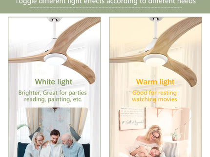 Indoor Outdoor Ceiling Fan With Light With Remote Control, Noiseless Reversible Motor, 6 Speed, 3 Color