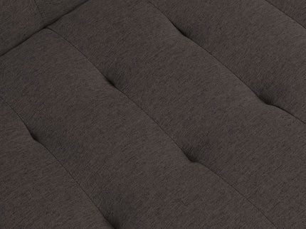 Modern Sofa Bed With Wood Frame And Stainless Legs