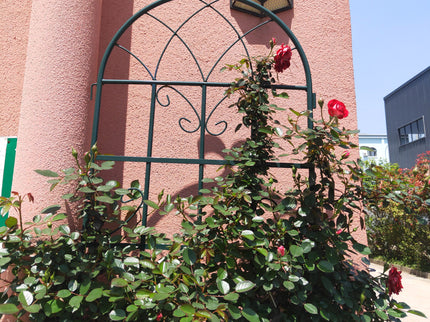 Metal Garden Rustproof Trellis For Climbing Plants Outdoor Flower Support