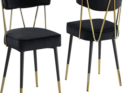 Glam Dining Chair (Set of 2)