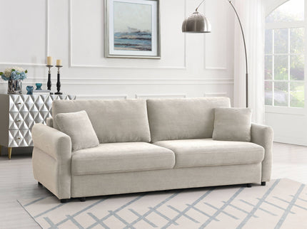 Haran - Pull Out Sleeper Sofa With Storage
