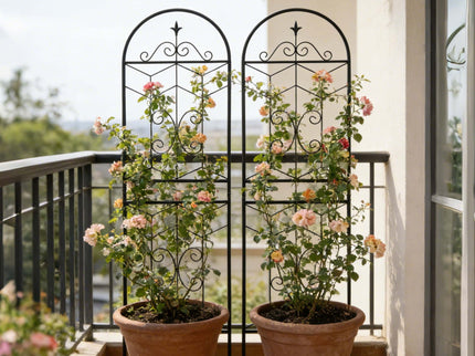 Garden Trellis, Rustproof Support For Climbing Plants