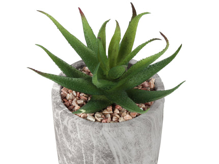 6" Tall, Artificial Plant, Succulent, Indoor, Faux, Fake, Table, Greenery, Potted, Decorative (Set of 2) - Green / Gray