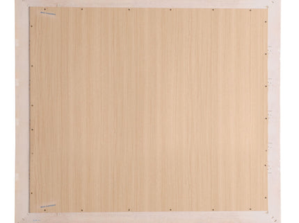 Elegant Contemporary Mirror