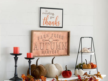 Thanks Wall Sign, Wall Art Decor For Harvest Festival Fall Festival & Thanksgiving Table Decorations (Set of 2) - Black / Orange / White