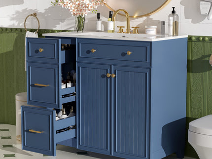 Bathroom Vanity With Sink, Soft Close Doors, Adjustable Shelves