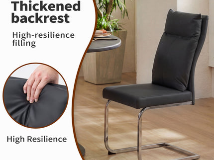 Modern Dining Chair SetWith Soft Cushion Backrest (2 Pieces)