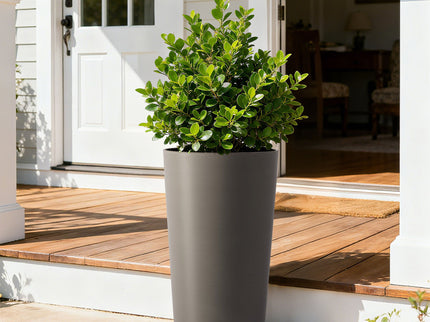 Planter For Outdoor