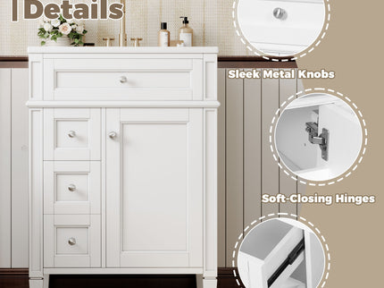 Bathroom Vanity With Top Sink, Storage Cabinet With 2 Drawers And Tip-Out Drawer