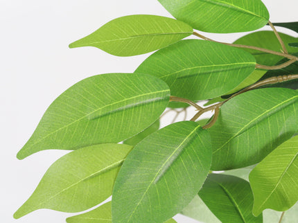 6Ft Artificial Ficus Tree With Natural Trunk In Pot For Indoor Home Office Decor - Green Leaves