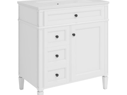 Bathroom Vanity With Top Sink, Storage Cabinet With 2 Drawers, Tip Out Drawer