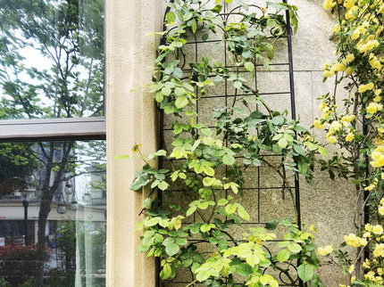 Metal Garden Trellis For Climbing Plants Outdoor Rustproof Plant Support Rose Trellis Netting Trellis