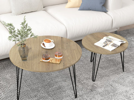 Round Nesting Coffee Table For Living Room (Set of 2)