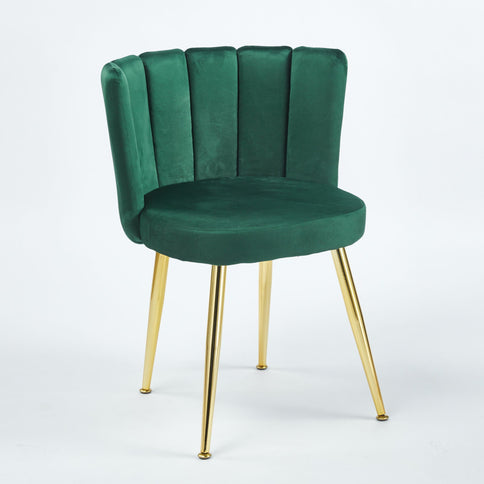 Ergonomic Dining Chair (Set of 2)