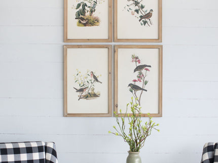 Bird Framed Print (Set of 4) - Multicolor