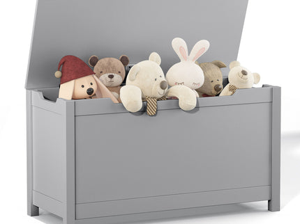Toy Box Storage With Safety Hinged Lid