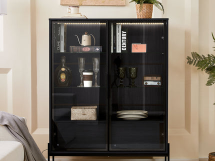Modern Minimalist Style LED Curio Cabinet With Tempered Glass Door, Metal Legs