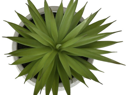Artificial Succulent, Table Decor (Set of 2) - Green - Plastic