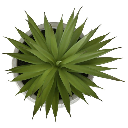 Artificial Succulent, Table Decor (Set of 2) - Green - Plastic